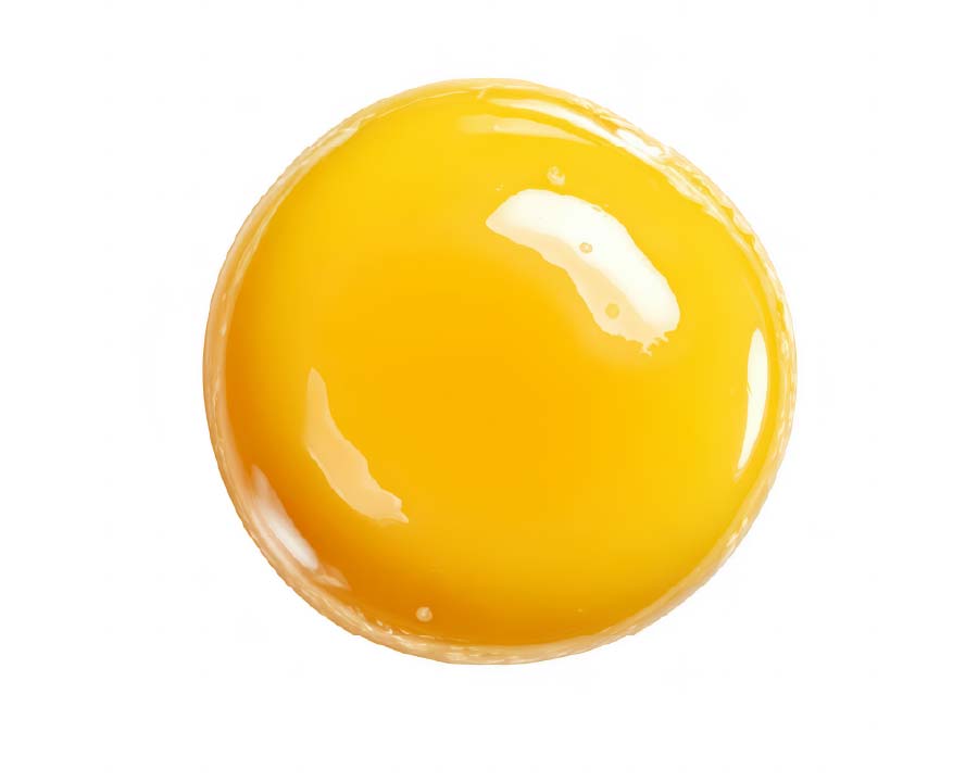 Colorantes para productos lácteos